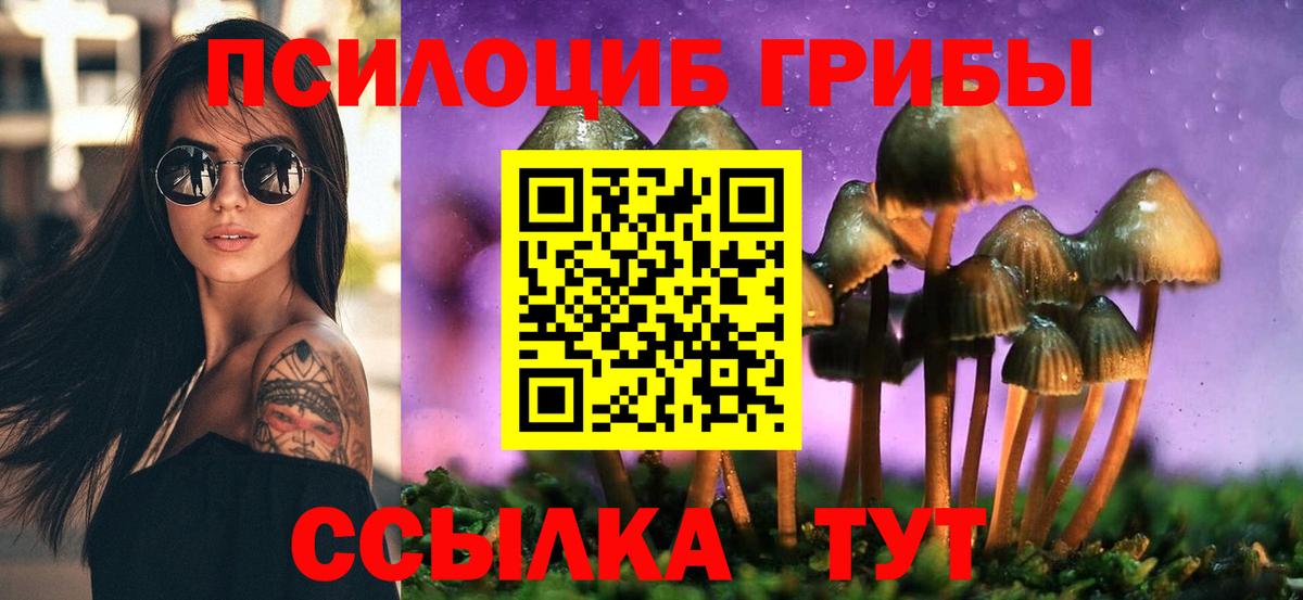 Псилоцибиновые грибы Psilocybine cubensis Арсеньев